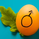 Unsplash - Eggs