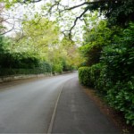 Leafy Bowdon Street